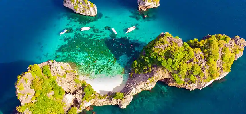 Maya Bay Phi Phi Island tour by speedboat package